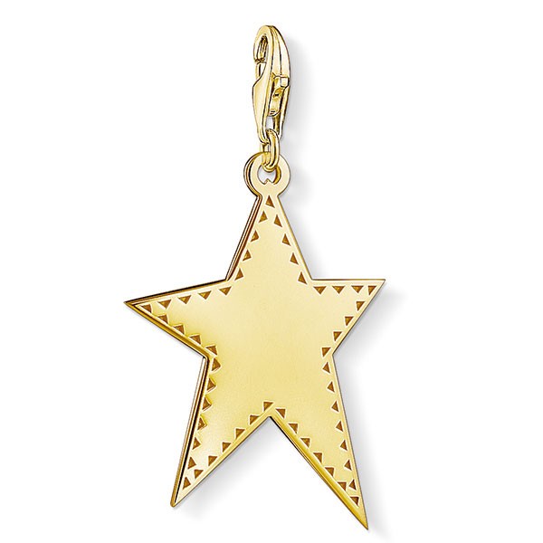 Generation Charm Club Goldener Stern Y0040-413-39